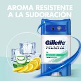 ژل ضد تعریق مردانه ژیلت مدل Aloe Scent حجم 70 میل