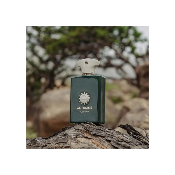 ادکلن آمواج پرپس (پورپس) Amouage Purpose