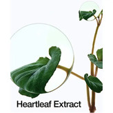 تونر پد پاک کننده و تسکین دهنده آنوا 77 درصد Heartleaf اورجینال